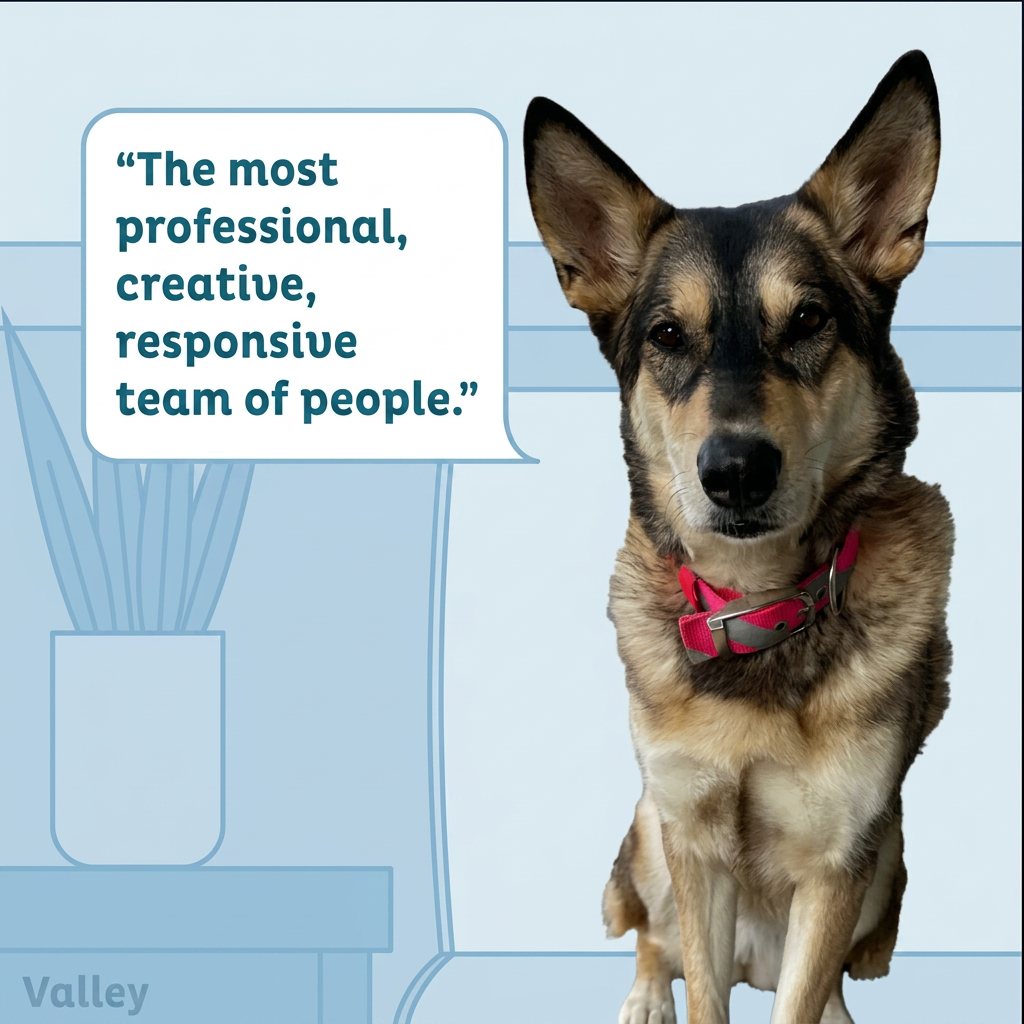 Client review told by office dog Valley